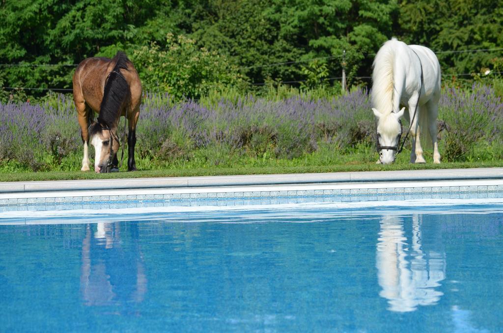 Agriturismo Domus Magna Povoletto Exteriör bild